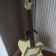 Modena Electric Sitar Modena Electric Sitar