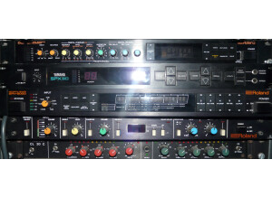 Roland SRV-2000 (85387)