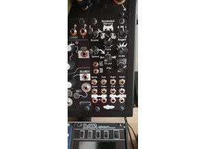 Noise Engineering Desmodus Versio (57171)