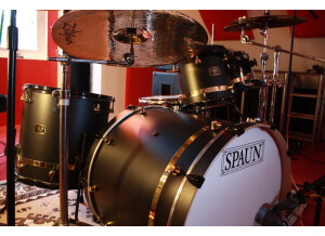 Spaun Drums Maple Custom Series (56381)
