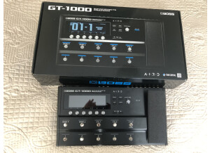 GT1000-2
