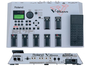 Roland V-Bass (77883)