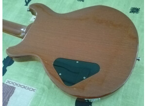 Gibson Les Paul Standard DC (41997)