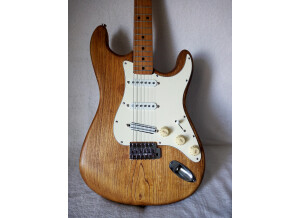 Gallan Stratocaster (55898)