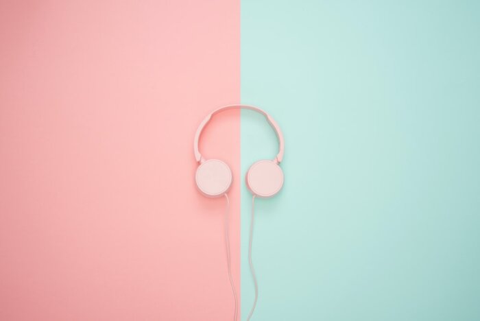 headphones headphones
