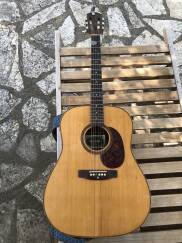 Giannini AWGS216