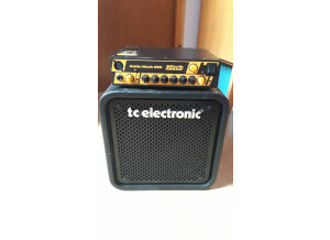 TC Electronic  RS112 (49558)