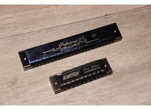 Harmonicas_25-08-21_1 (2).JPG