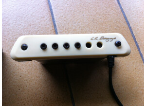 L.R. Baggs M1 Active (37617)