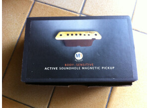 L.R. Baggs M1 Active (35894)