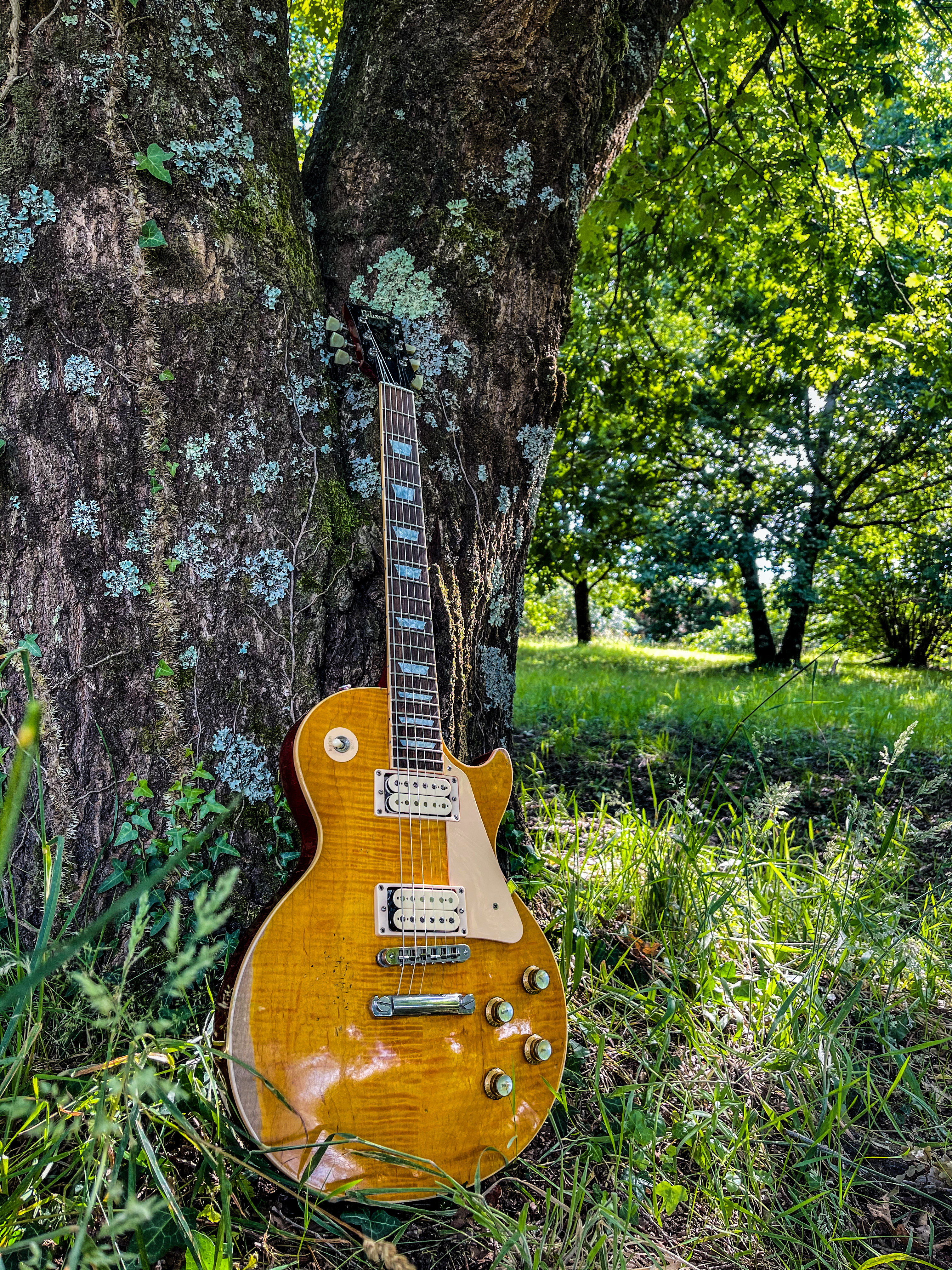 Hysteric Bar Pickups PAF 59 Set