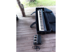 Roland A-88 (10688)
