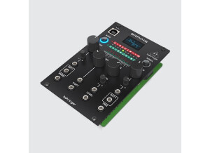 Behringer Brains (9159)