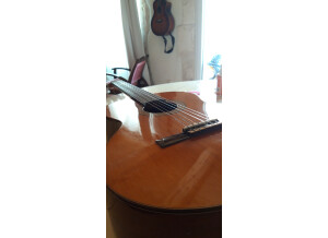 Alhambra Guitars 3C (5196)