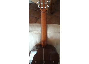 Alhambra Guitars 3C (79360)