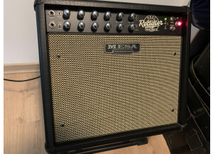 Mesa Boogie Recto-Verb 25 Combo (76072)