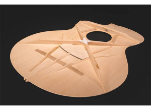 PA230Ebracing