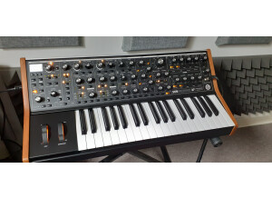 Moog Music Subsequent 37 (49430)