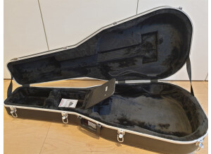 Gator Cases GC-DREAD- Dreadnought Guitar Case (4030)