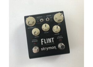 Strymon Flint (30450)