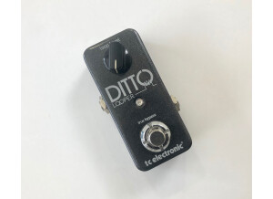 TC Electronic Ditto Looper (27724)