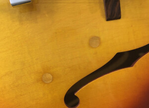 Gibson ES-125 T (44285)