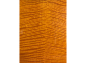 PRS SE Bernie Marsden - Vintage Sunburst (4130)