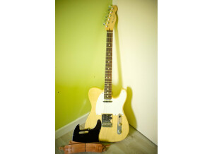 Fender Telecaster Standard US 2008 Blackguard blonde