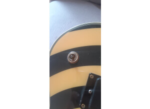 Epiphone Zakk Wylde Les Paul Custom Plus Bullseye (85834)