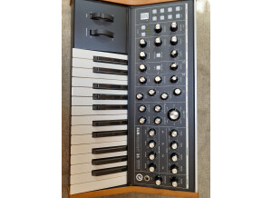 Moog Music Subsequent 25 (89112)