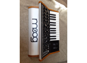 Moog Music Subsequent 25 (52470)