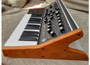 Moog Music Subsequent 25 (37340)
