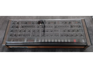 Sequential Prophet-6 Module (20545)