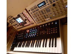 Waldorf Kyra (27267)