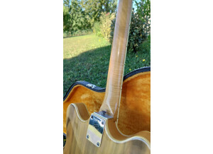 241184814_2070396913108339_2984720036306569274_n