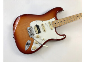 Fender Player Stratocaster HSS Plus Top (14014)