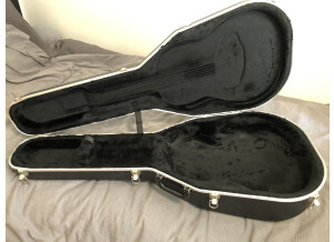 Ovation Collector's Series 2005