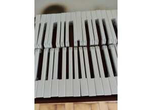 Roland D-50 (5276)