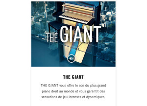 Native Instruments The Giant (52639)