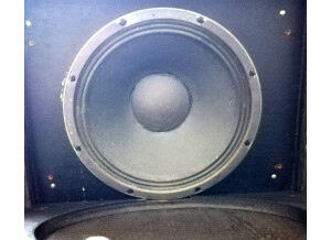 Mesa Boogie 1x12 Electrovoice (72433)