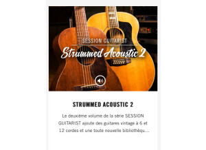 Native Instruments Strummed Acoustic 2 (88293)