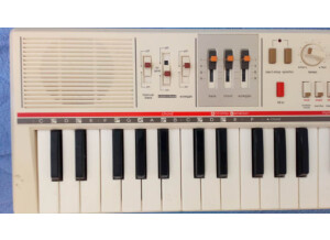 Casio Casiotone MT-65 (11177)