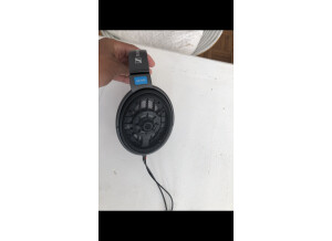 IMG_0044.PNG