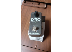 TC Electronic Ditto Looper (82667)