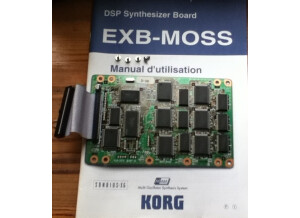 Korg Exb - Moss (56855)