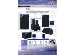 BST wilder w10 (21550)