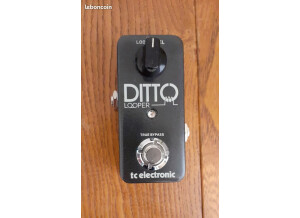 TC Electronic Ditto Looper (68084)