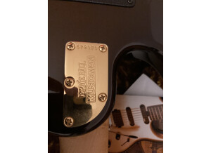 Music Man John Petrucci 6 (52412)