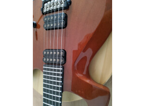 Parker Guitars Fly Classic (16233)