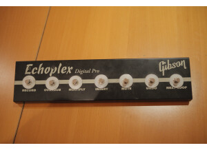 Oberheim Echoplex (93090)